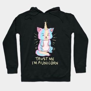 Meowgical Caticorn T Shirt| Kittycorn Shirt Hoodie